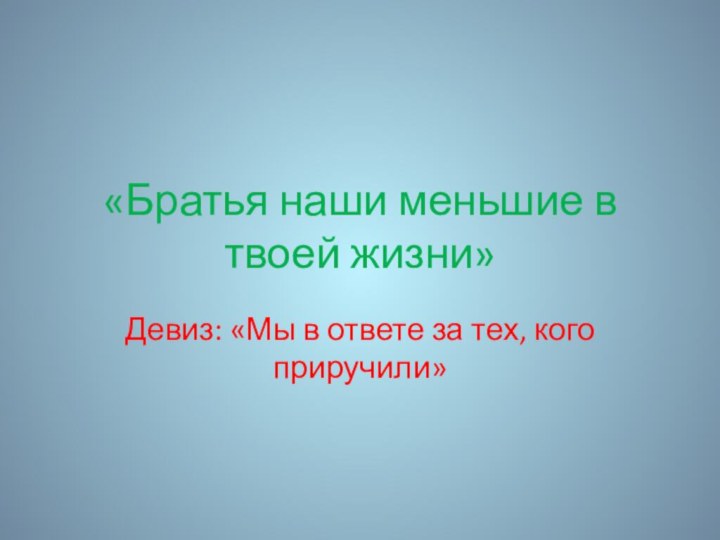 «Братья наши меньшие в твоей жизни»Девиз: «Мы в ответе за тех, кого приручили»