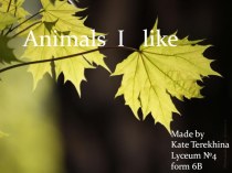 Презентация по английскому языку на тему Animals I like