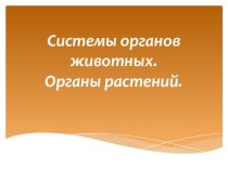 Презентация по биологии к уроку-практикуму Распознавание органов у растений и животных (6 класс)