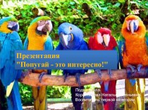 Презентация Попугай -это интересно