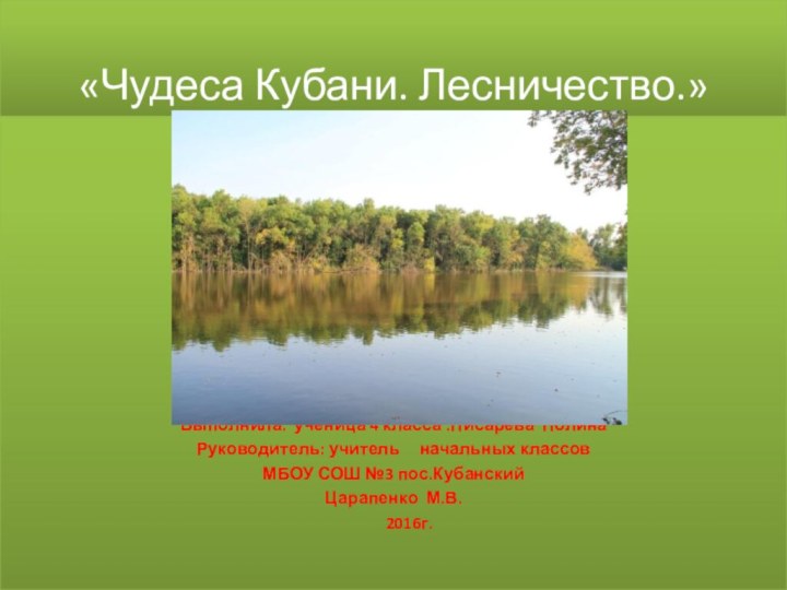 «Чудеса Кубани. Лесничество.»Выполнила: ученица 4 класса :Писарева ПолинаРуководитель: учитель