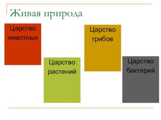 Презентация для урока окружающего мира Животные