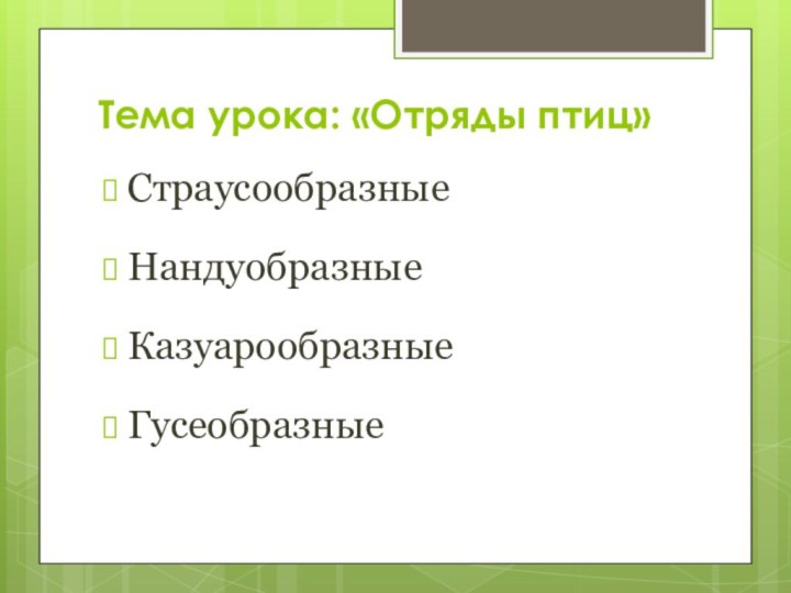 Тема урока: «Отряды птиц»СтраусообразныеНандуобразныеКазуарообразныеГусеобразные