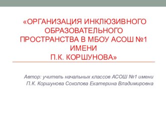 Презентация проекта по внедрению инклюзивного образования в школе ФГОС ОВЗ