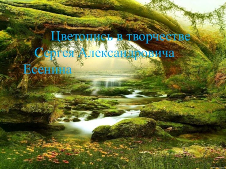 Цветопись в творчестве 	Сергея Александровича 				Есенина