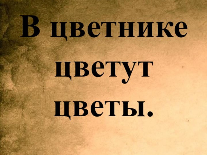 В цветнике цветут цветы.