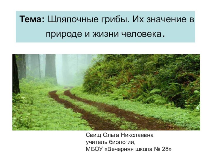 Тема: Шляпочные грибы. Их значение в природе и жизни человека.Свищ Ольга Николаевнаучитель