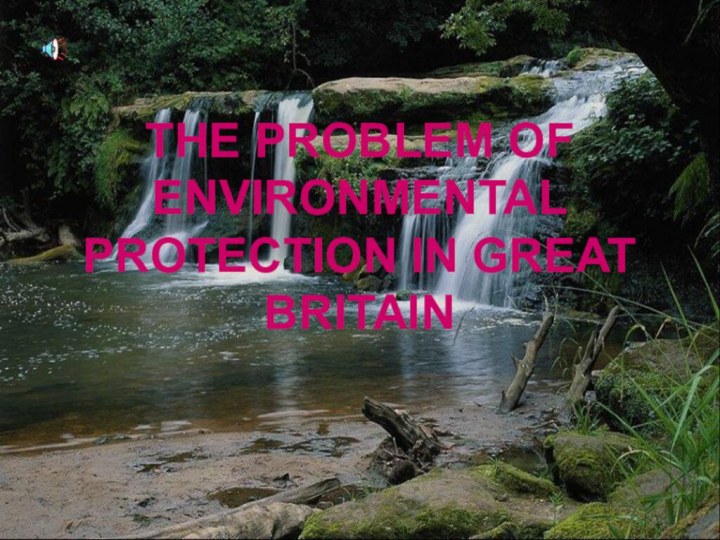 THE PROBLEM OF ENVIRONMENTAL PROTECTION IN GREAT BRITAIN