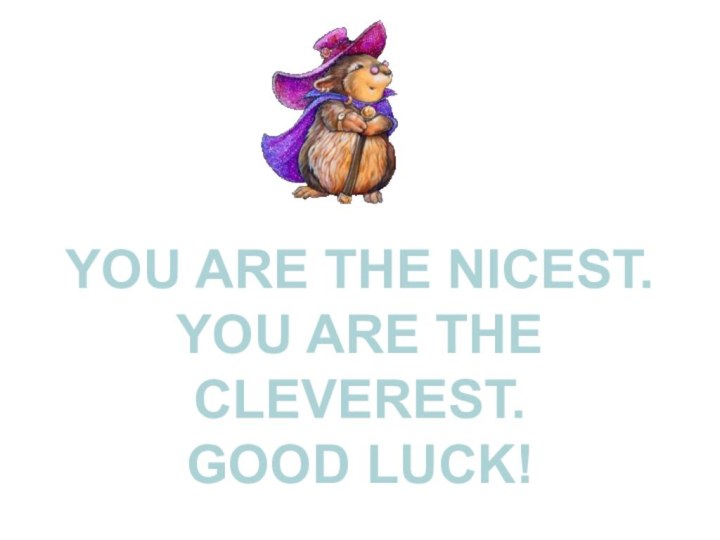 YOU ARE THE NICEST.YOU ARE THE CLEVEREST.GOOD LUCK!