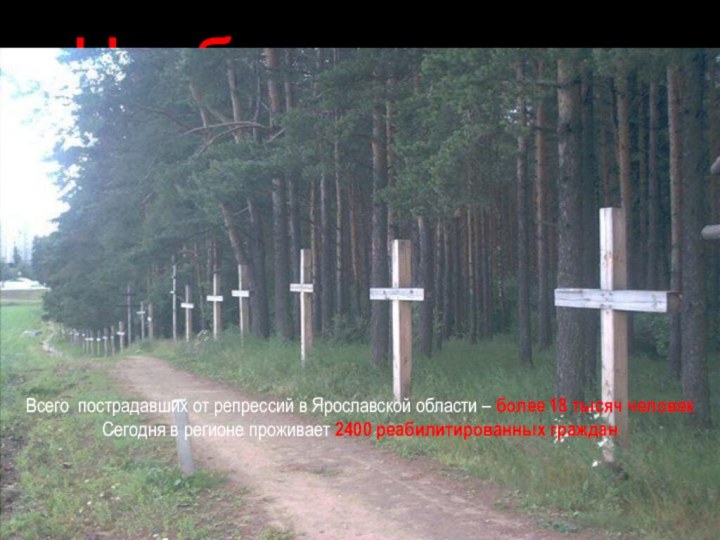 Чтобы помнили…Всего пострадавших от репрессий в Ярославской области – более 18 тысяч