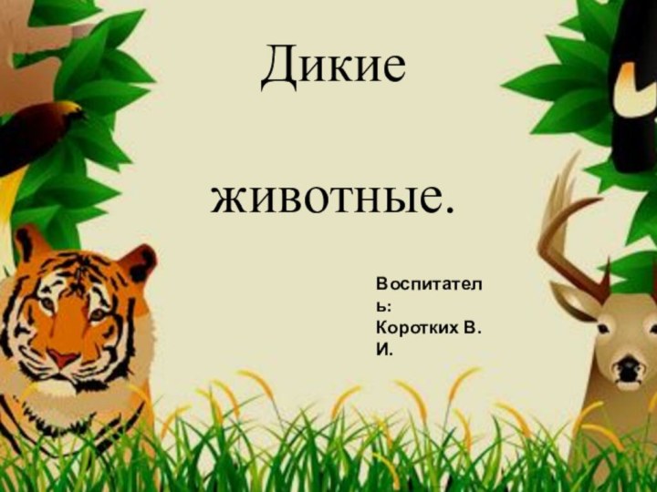 Дикие животные.Воспитатель:Коротких В.И.Муниципальное казенное дошкольное образовательное учреждение Купинского района детский сад « Ромашка».