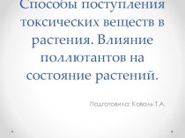 Способы поступления токсических веществ в растения. Влияние поллютантов на состояние растений.