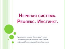 Презентация к уроку Нервная система. Рефлекс 7 класс