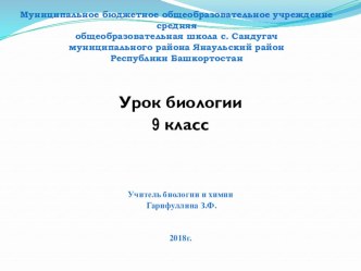 Презентация по биолоогии на тему Фотосинтез