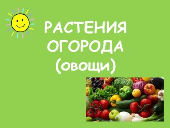 Презентация по предмету Человек и мир Овощи