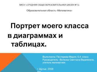 Презентация к исследовательской работе Портрет моего класса в графиках и диаграммах2