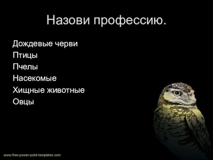 Назови профессию.Дождевые червиПтицы Пчелы Насекомые Хищные животныеОвцы