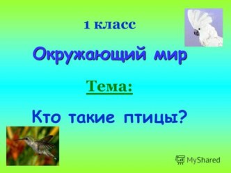 Презентация по окружающему миру Кто такие птицы