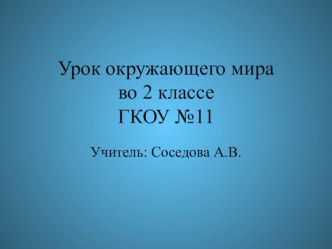 Презентация по предмету Окружающий мир, 2 класс ГКОУ на тему Деревья: береза и клен