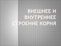 Презентация по биологии на тему Строение корня