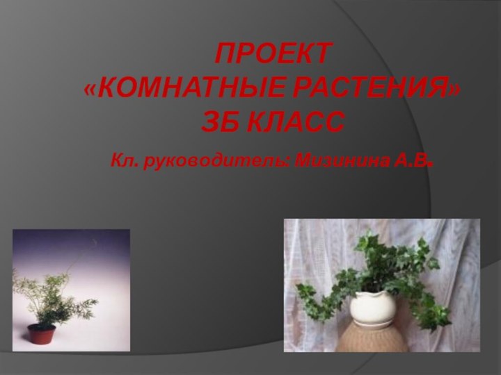 ПРОЕКТ «Комнатные растения» 3б класс Кл. руководитель: Мизинина А.В.