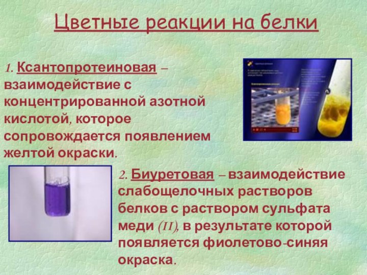 Цветные реакции на белки1. Ксантопротеиновая – взаимодействие с концентрированной азотной кислотой, которое