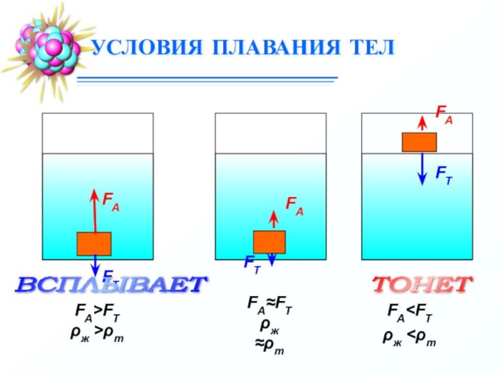 УСЛОВИЯ ПЛАВАНИЯ ТЕЛFА>FТρж >ρтВСПЛЫВАЕТ     FА≈FТρж ≈ρтТОНЕТ FА