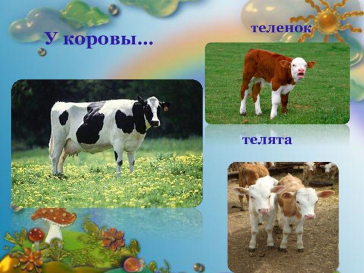 У коровы…теленоктелята