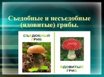 Презентация по естествознанию Тема:  Грибы съедобные и несъедобные (7 класс)