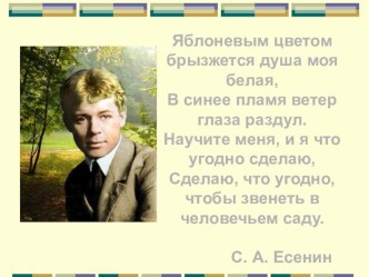 Презентация по творчеству С. Есенина Он искал в этих женщинах счастье...