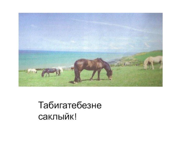 Табигатебезне саклыйк!