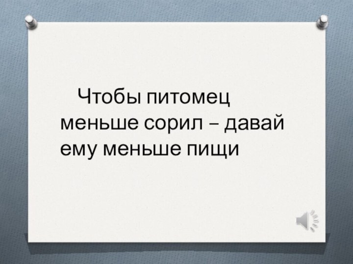 Чтобы питомец меньше сорил – давай ему меньше пищи