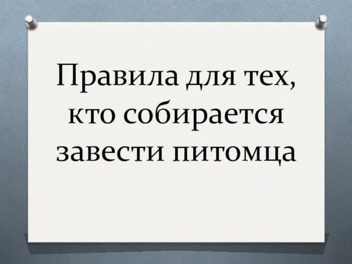 Правила для тех, кто собирается завести питомца