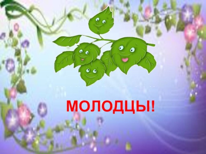 МОЛОДЦЫ!