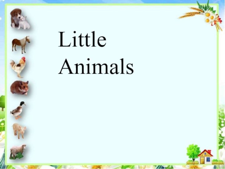 Little Animals