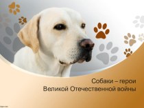 Презентация к 9 мая Собаки-герои войны
