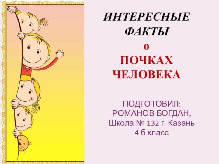 ИНТЕРЕСНЫЕ ФАКТЫ о ПОЧКАХ ЧЕЛОВЕКАПОДГОТОВИЛ:РОМАНОВ БОГДАН, Школа № 132 г. Казань4 б класс