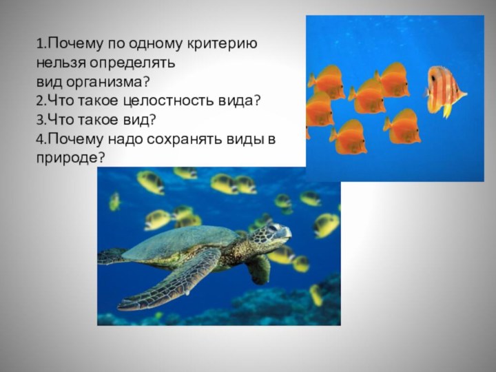 1.Почему по одному критерию нельзя определятьвид организма?2.Что такое целостность вида?3.Что такое вид?4.Почему