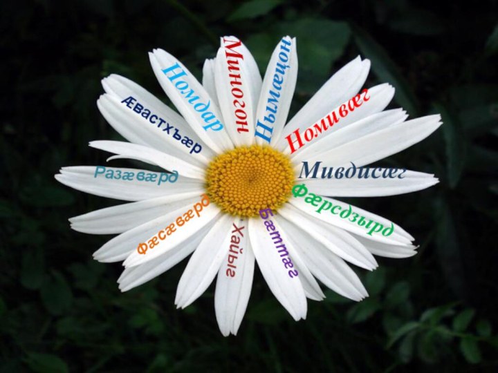 МиногонНомдарНымæцонМивдисæгНомивæгФæрсдзырдБæттæгФæсæвæрдХайыгРазæвæрдÆвастхъæр