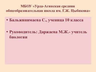 Презентация исследовательской работы на тему Культ экологии, экология культа