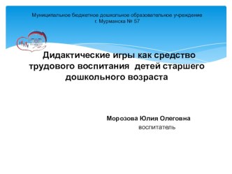 Презентация Дидактические игры как средство трудового воспитания детей дошкольного возраста