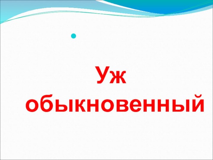 Уж