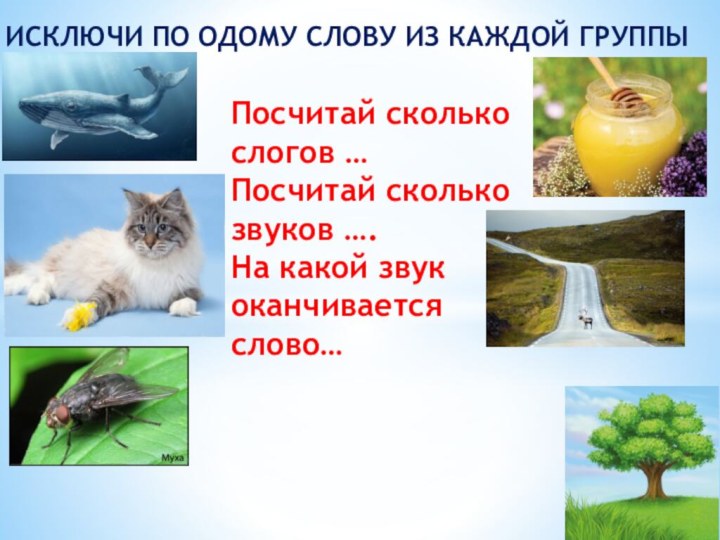 ИСКЛЮЧИ ПО ОДОМУ СЛОВУ ИЗ КАЖДОЙ ГРУППЫПосчитай сколько слогов …Посчитай сколько звуков