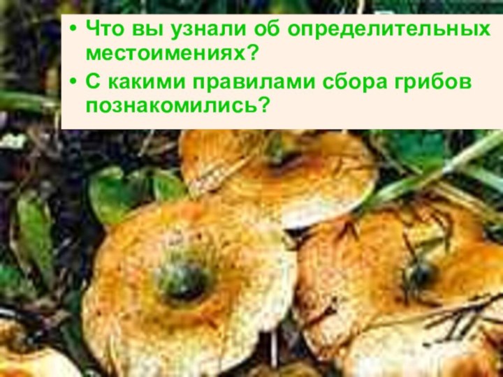 Что вы узнали об определительных местоимениях?С какими правилами сбора грибов познакомились?