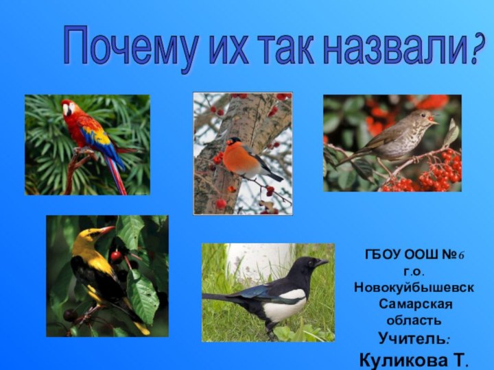 Почему их так назвали? ГБОУ ООШ №6 г.о. Новокуйбышевск Самарская областьУчитель:Куликова Т.Н.