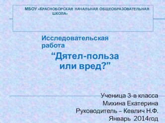 Презентация исследовательской работы Дятел-польза или вред