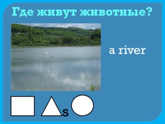 Презентация по английскому языку на тему Где живут животные? (2 класс)