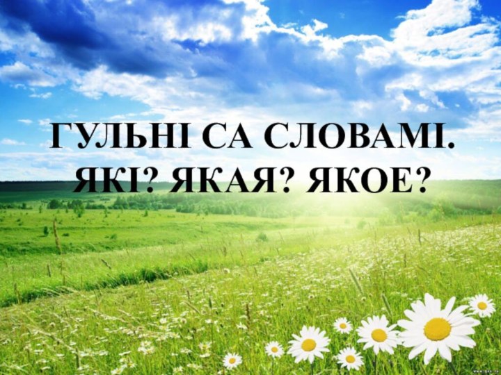 ГУЛЬНІ СА СЛОВАМІ. ЯКІ? ЯКАЯ? ЯКОЕ?