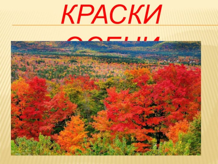 КРАСКИ ОСЕНИ