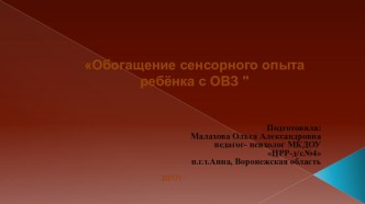 Презентация из опыта работы в лекотеке:  Обогащение сенсорного опыта ребёнка с ОВЗ